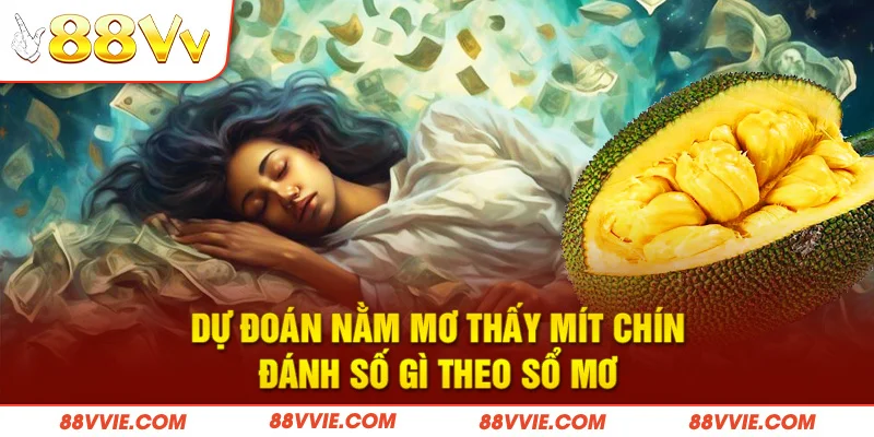 Dự đoán nằm mơ thấy mít chín đánh số gì theo sổ mơ