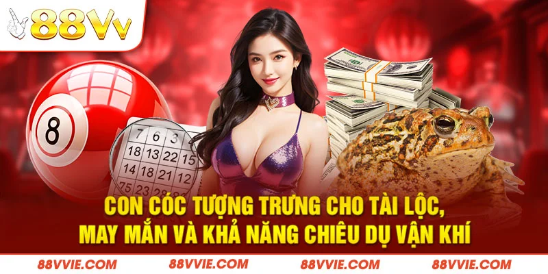 Con cóc tượng trưng cho tài lộc, may mắn và khả năng chiêu dụ vận khí