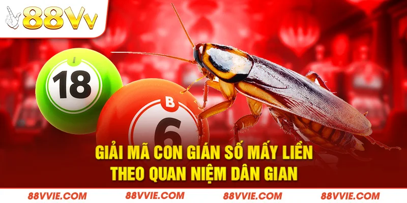 Giải mã con gián số mấy liền theo quan niệm dân gian
