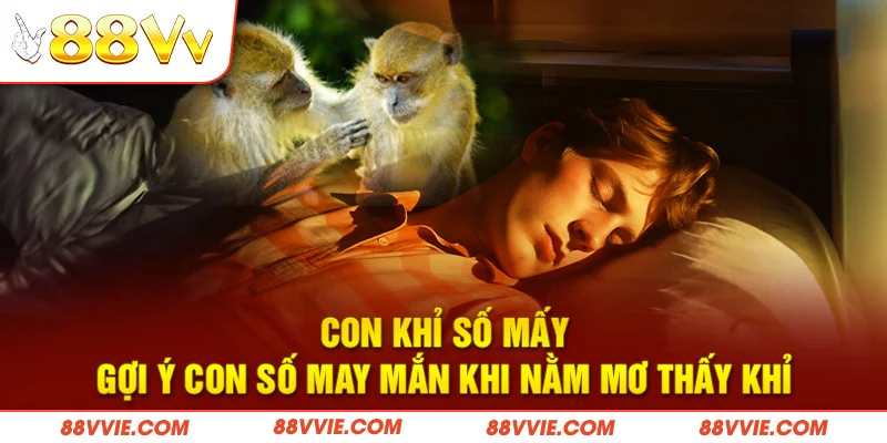 Con Khỉ Số Mấy - Gợi Ý Con Số May Mắn Khi Nằm Mơ Thấy Khỉ