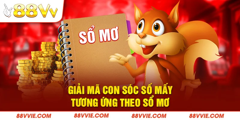 Giải mã con sóc số mấy tương ứng theo sổ mơ