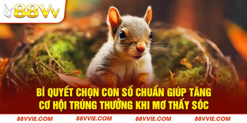 Bí quyết chọn con số chuẩn giúp tăng cơ hội trúng thưởng khi mơ thấy sóc