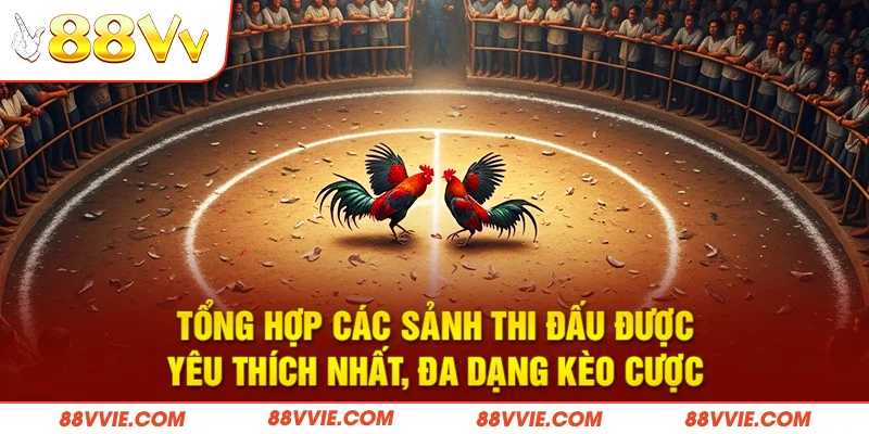 Tổng hợp các sảnh thi đấu được yêu thích nhất, đa dạng kèo cược